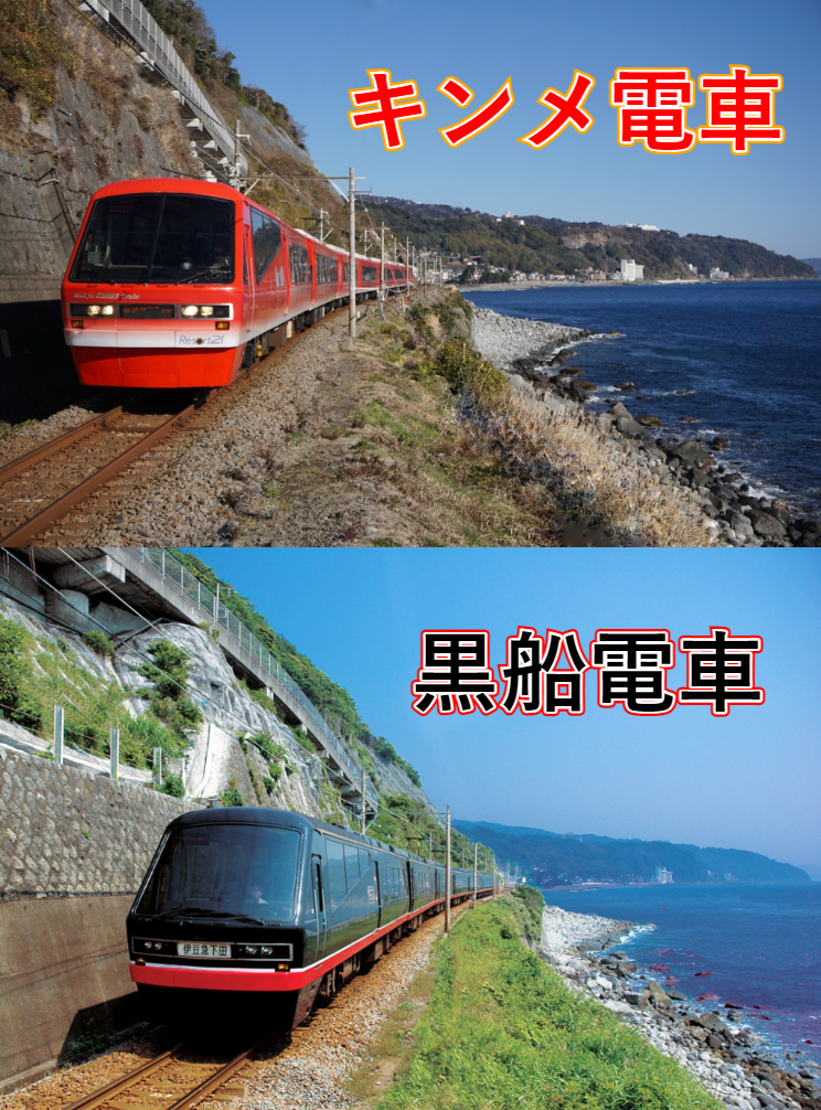 電車旅 伊豆急線 黒船電車 キンメ電車 は普通運賃で乗車できます 公式 南熱海 潮騒の宿 ふじま
